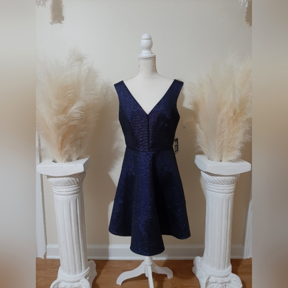 Express Dark Blue Dress